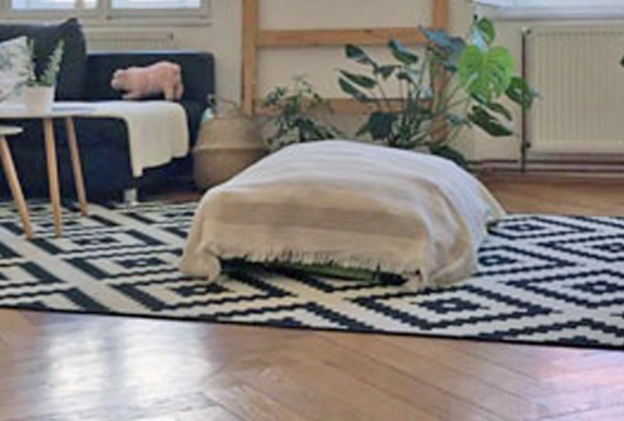 בחירת פרקט לבית