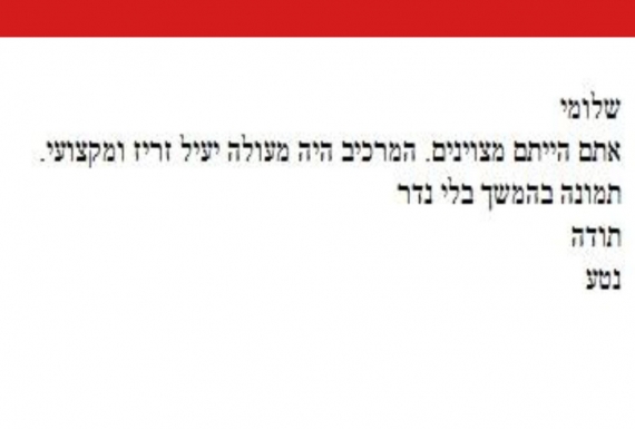 המלצה מאת נטע