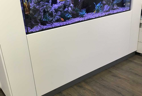 אקווריום עם אולטרה סגול