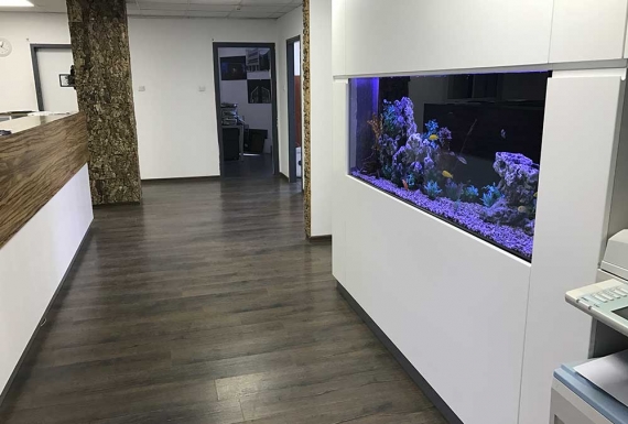 חיפוי שעם טבעי ואריחי שעם לקירות