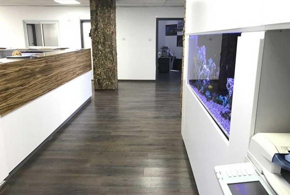 חיפוי שעם טבעי ואריחי שעם לקירות