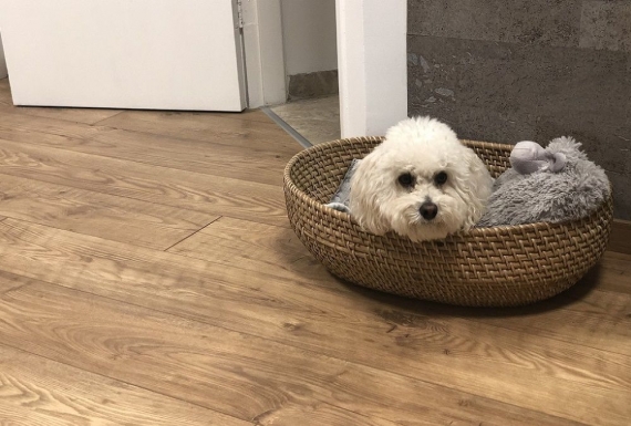 התקנת פרקט למינציה